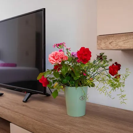 My Dalmatia - Blagdan With Private Parking Lägenhet Zadar